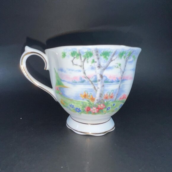 Royal Albert Silver Birch Tea Cup & Saucer Bone China Made in England - Picture 4 of 10